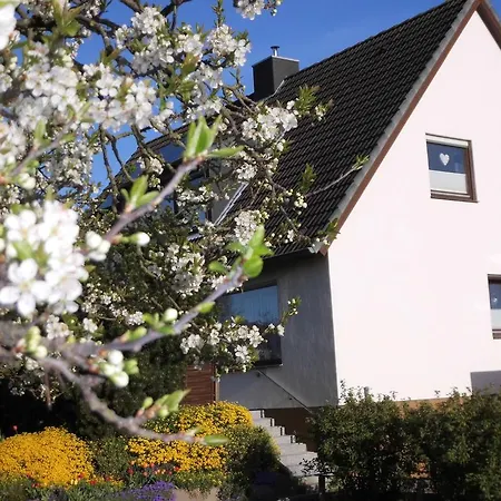 Appartementhaus Diana * グレーミッツ